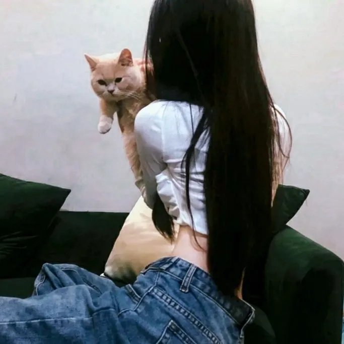 克莱尔和贝尔